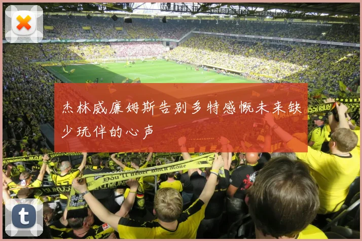 杰林威廉姆斯告别多特感慨未来缺少玩伴的心声